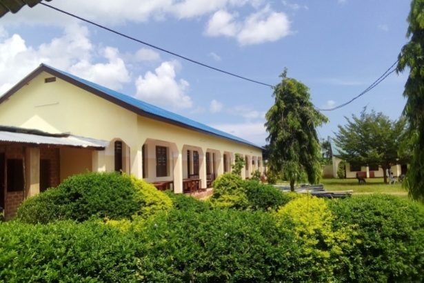 Het gebouw is terug volledig gerenoveerd!